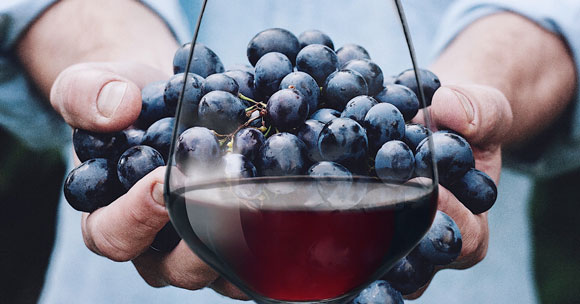 Sip Naturally into the New Year: Embracing the Pleasures of Natural Wine