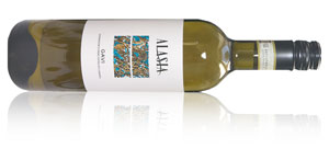 Alasia Gavi del Comune di Gavi 2024